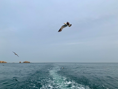 大连周末旅行，一起看海吧，附赠旅游攻略